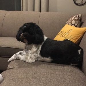 Meet your Posher, Angie